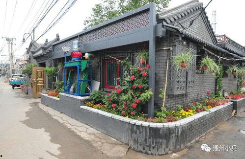 灌篮军团2025年最新爆料,揭秘新赛季神秘阵容与战术革新