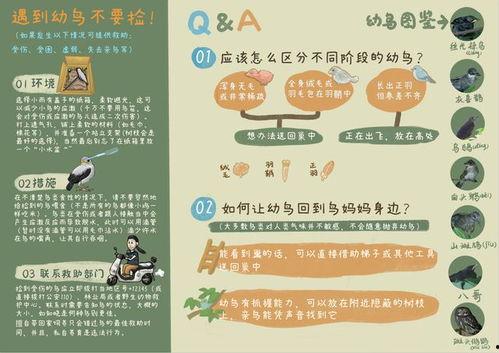 浙江新闻媒体爆料热线官网,24小时守护市民知情权 第2张 浙江新闻媒体爆料热线官网,24小时守护市民知情权 第2张